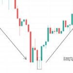 فیلتر کندل دوجی سنجاقک